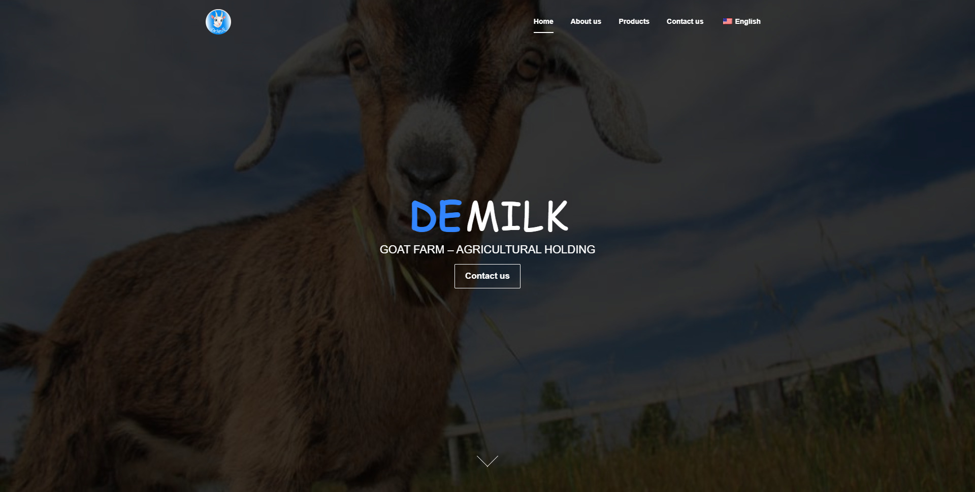 Website deMilk von itLux gemacht